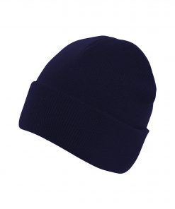 AA89 beanie navy